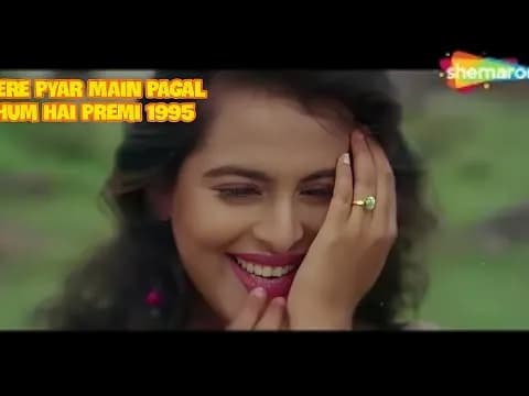 Tere Pyar Mein Paagal