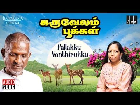 Pallakku Vanthirukku
