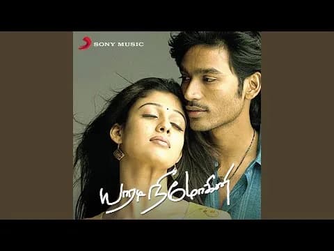 The Person Is The Looser [Sic]