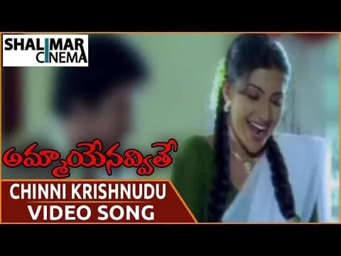 Chinni Krishnudochadu