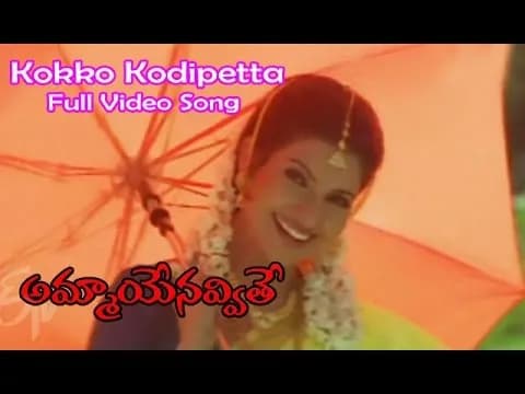 Kokko Kodipetta