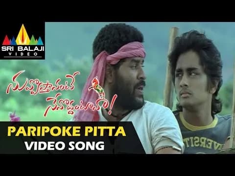Paripoke Pitta